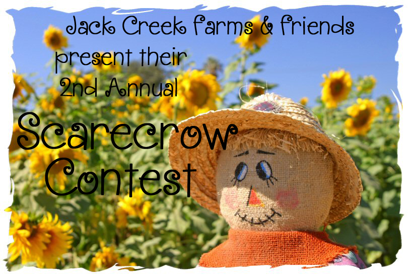 Scarecrow in Sunflower Field