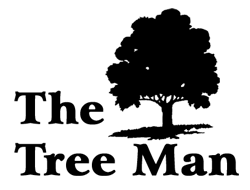 The Tree Man